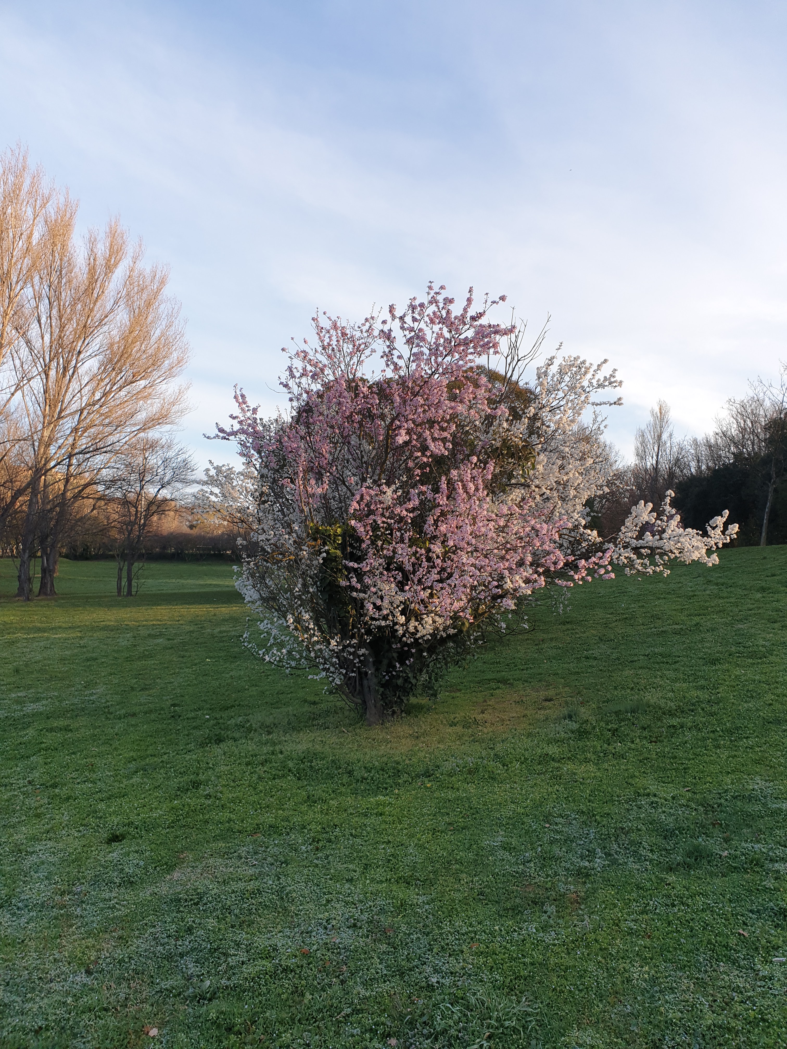 Photo n° 4 de l'avis de yoann.a fait le 28/03/2019 à 23:37