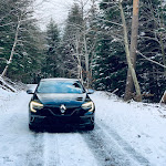 Photo n° 2 de l'avis de Squamifer. fait le 28/02/2021 à 01:16 pour ONYX COATING FRANCE à Décines-Charpieu