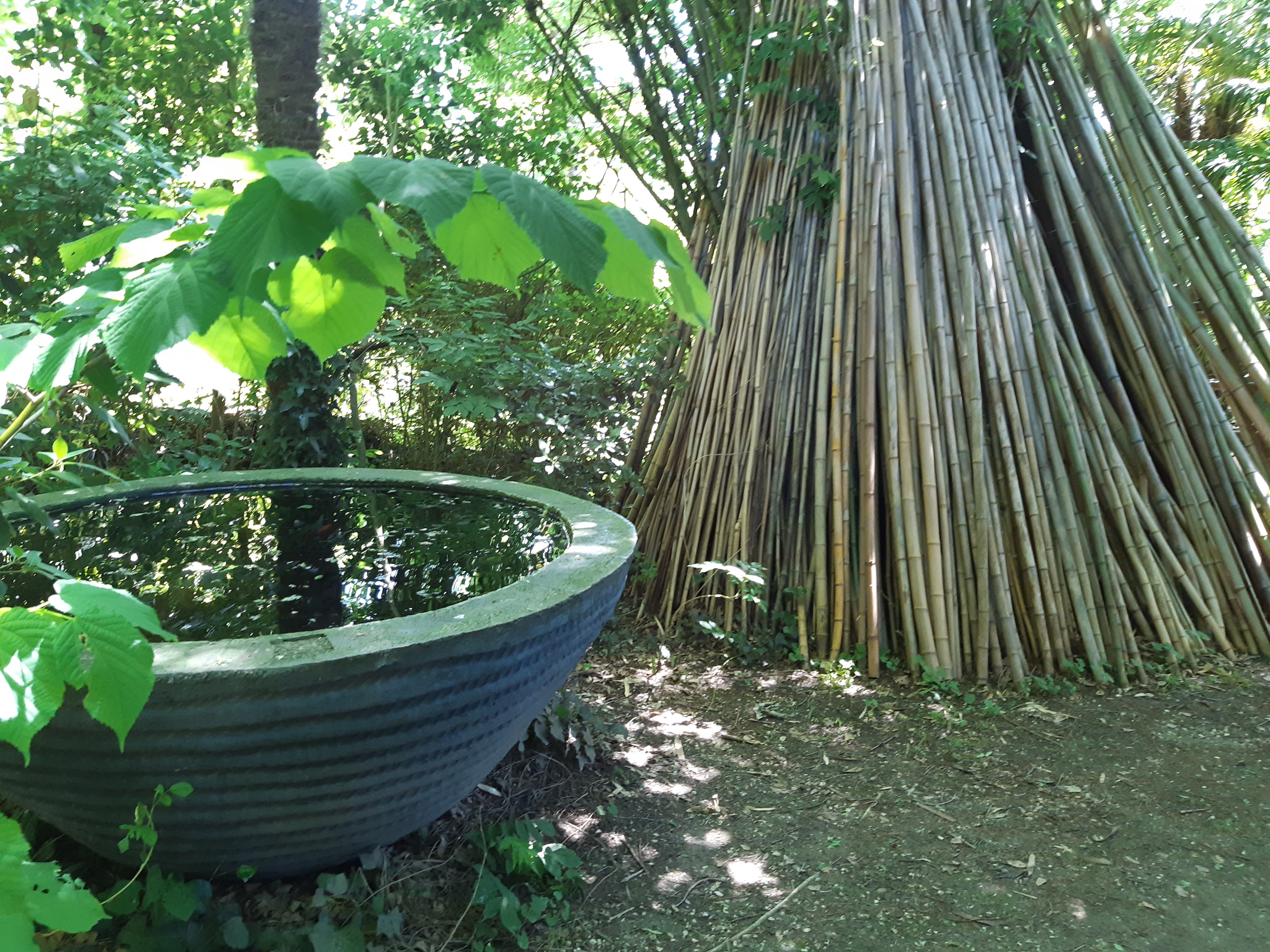 Photo n° 23 de l'avis de Ange.n fait le 01/06/2019 à 14:17