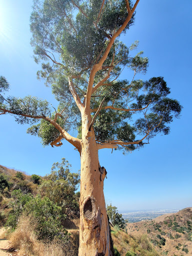 Hiking Area «Whittier Turnbull Canyon Hiking Trail», reviews and photos, Turnbull Canyon Rd, Whittier, CA 90601, USA