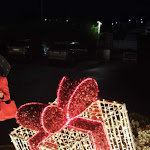 Photo n°1 de l'avis de Fabiana.a fait le 11/11/2022 à 19:52 sur le  Ristorante Zì Rocco à Rome