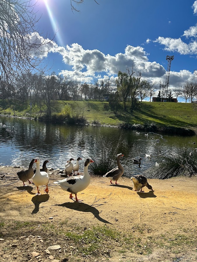 Parque de Andalucía