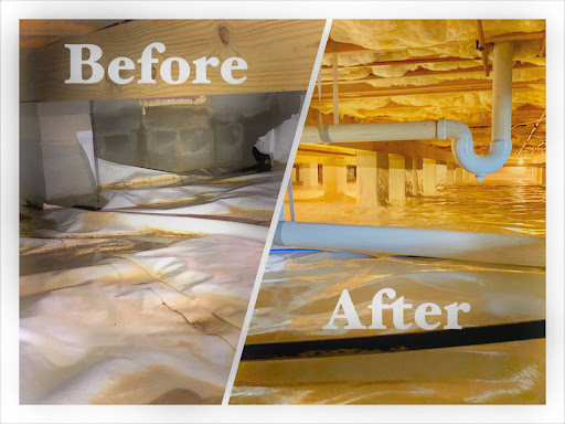 Pest Control Service «Universal Pest & Termite», reviews and photos