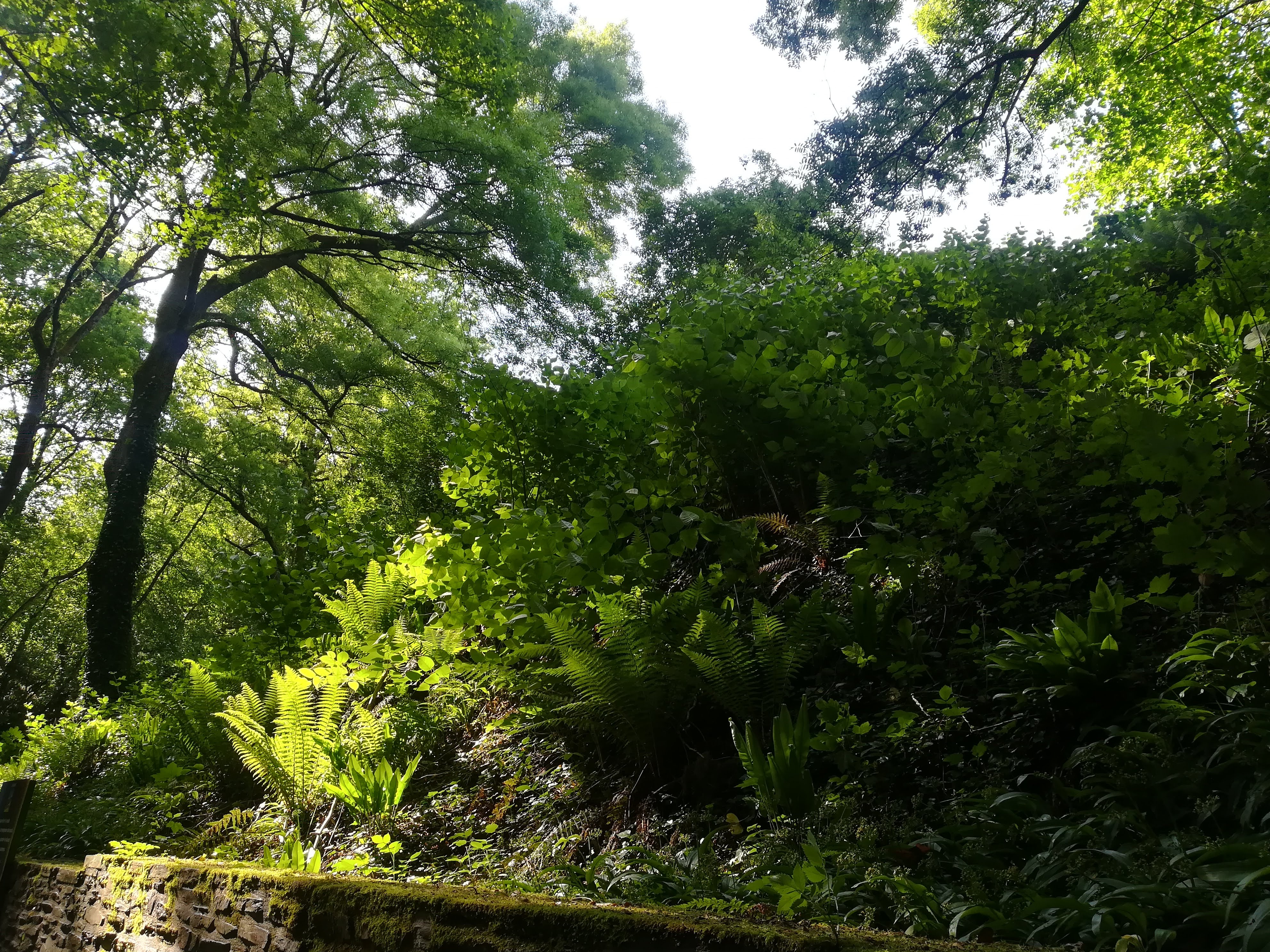 Photo n° 34 de l'avis de missbigsmile. fait le 03/07/2018 à 05:14