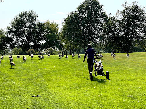 Public Golf Course «Roseville Cedarholm Golf Course», reviews and photos, 2323 Hamline Ave N, Roseville, MN 55113, USA