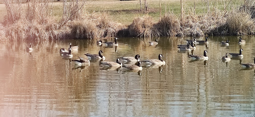 Arboretum «Yakima Area Arboretum», reviews and photos, 1401 Arboretum Dr, Yakima, WA 98901, USA