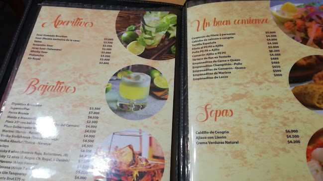 Opiniones de Carnes Queulat en Coyhaique - Restaurante