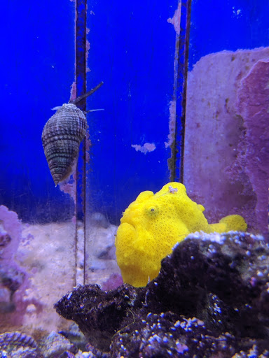 Pet Store «Fin-N-Feather», reviews and photos, 2931 F St, Eureka, CA 95501, USA