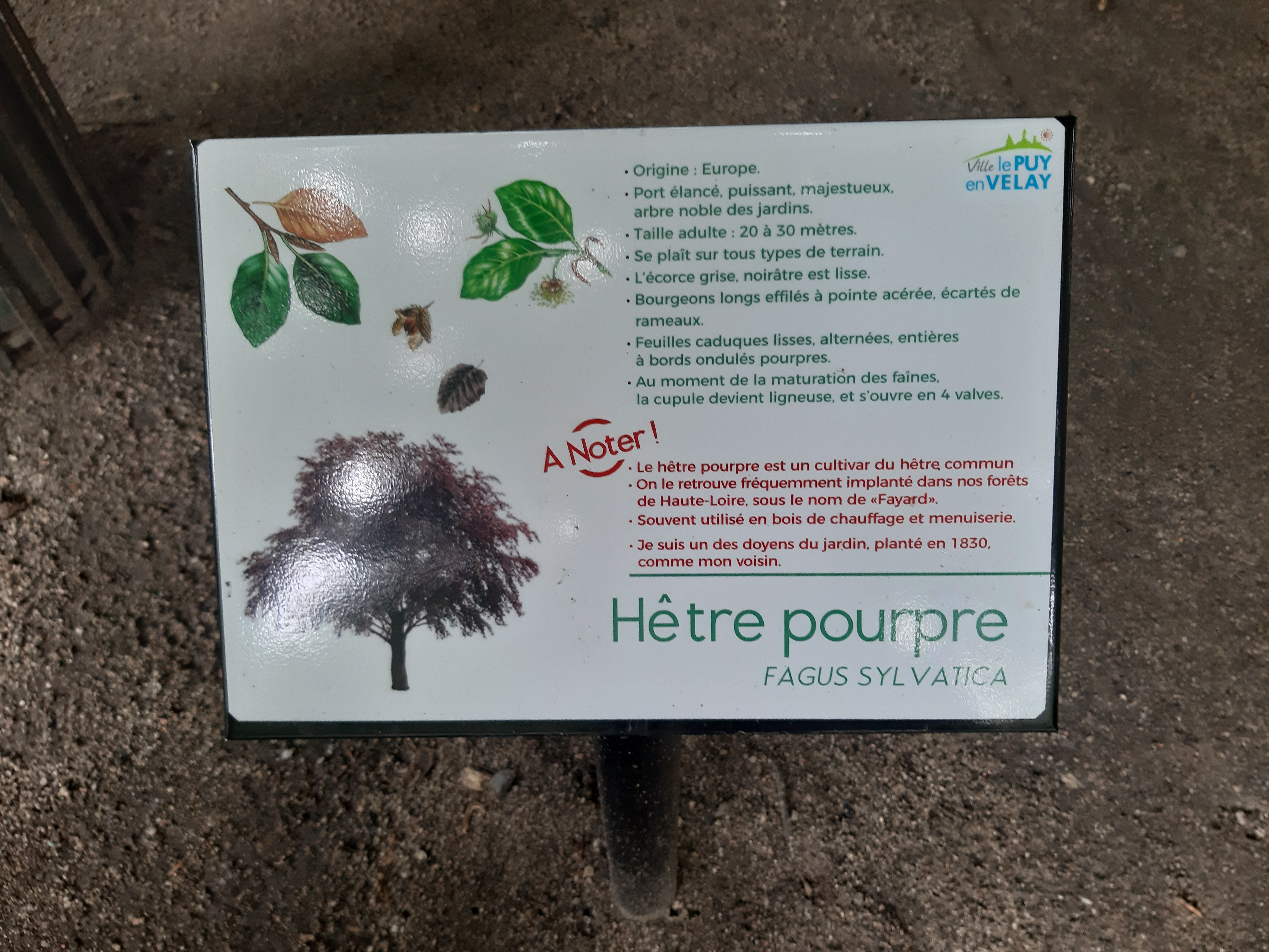 Photo n° 9 de l'avis de Véronique.r fait le 04/07/2021 à 12:20
