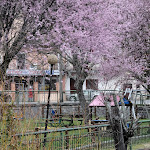 Photo n°1 de l'avis de Gian.o fait le 06/05/2019 à 19:47 sur le  Trattoria da Maria à Canetra