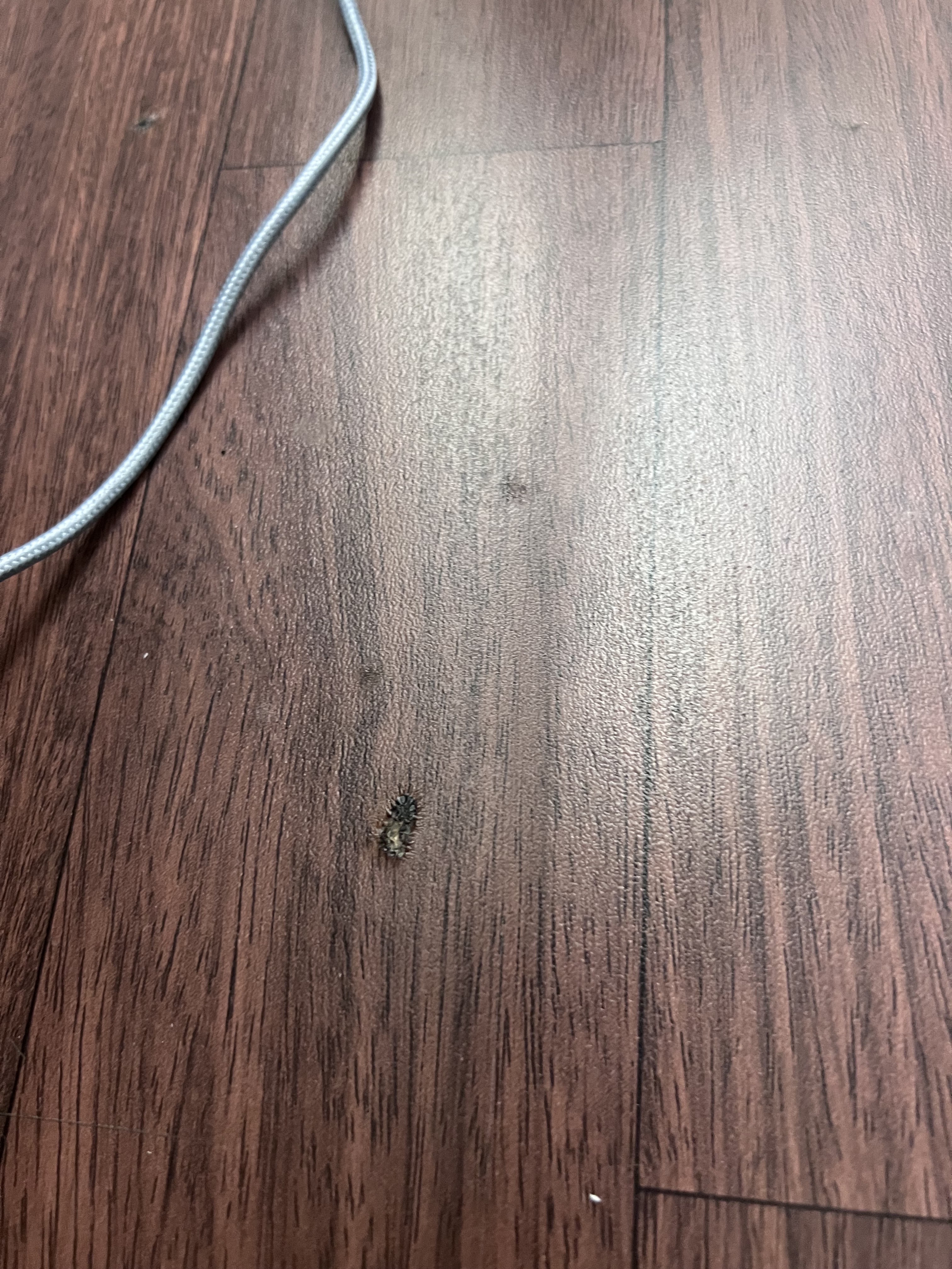 Photo n° 4 de l'avis de Stessy.o fait le 02/05/2023 à 20:48