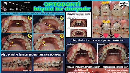 Dr. Yalçın Ergir - Ortodontist (düş hekimi)