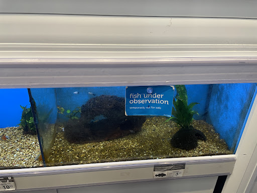 Pet Supply Store «Petco Animal Supplies», reviews and photos, 3452 W Chandler Blvd, Chandler, AZ 85226, USA