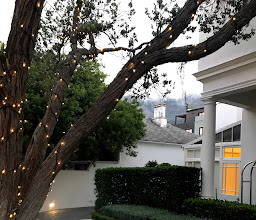 Cape Cadogan Boutique Hotel photo