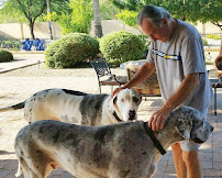 Doolittle's Doghouse - Photo 3 - Car repair in , Scottsdale