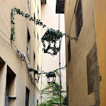 Photo n°3 de l'avis de Yazan.o fait le 29/07/2023 à 21:08 sur le  Serre Torrigiani in Piazzetta à Florence