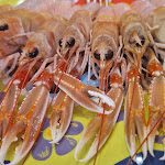 Photo n°3 de l'avis de Lella.l fait le 05/04/2024 à 07:46 sur le  Ristorante Soprattutto à Santa Maria di Sala