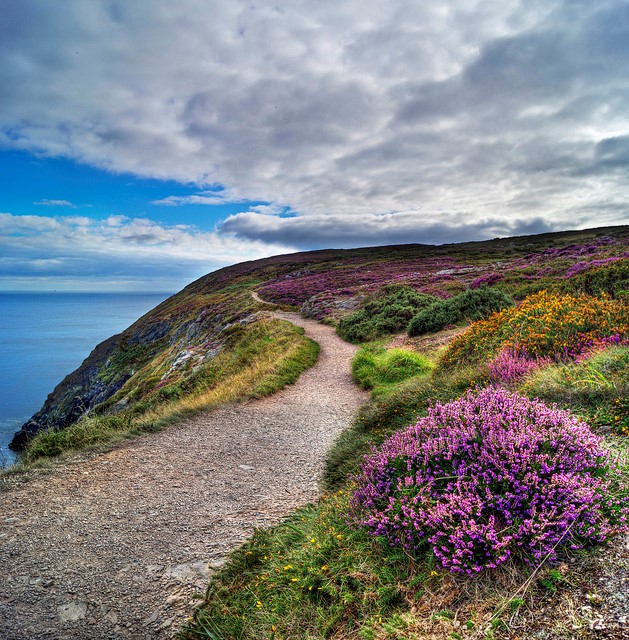 Anam Massage- Aisling Keating LMT 01450