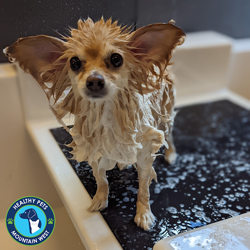 Pet Store «Healthy Pets Mountain West», reviews and photos, 2352 Fort Union Blvd, Cottonwood Heights, UT 84121, USA