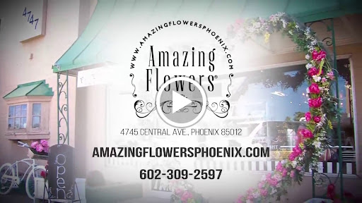 Florist «Amazing Flowers», reviews and photos, 4745 N Central Ave, Phoenix, AZ 85012, USA