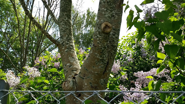 Anmeldelser af Scania Danmark i Holbæk - Autoværksted