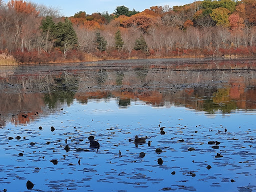 Shopping Mall «The Shops at Chestnut Hill», reviews and photos, 199 Boylston St, Chestnut Hill, MA 02467, USA