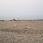 Photo n° 1 de l'avis de Emmanuel.A fait le 13/08/2021 à 16:17 pour Le 20270 Chez Mathieu à Aléria