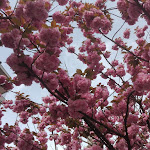 Photo n°4 de l'avis de Lorenzo.e fait le 07/05/2016 à 15:52 sur le  Al Di Vino Bistrò à Mariano Comense