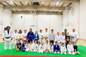 Cork City Judo Club image