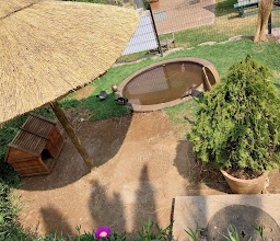 Petmasters Boksburg photo