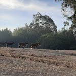 Photo n°8 de l'avis de Alberto.a fait le 17/10/2020 à 18:34 sur le  Quinta da Samoqueirinha à Vila Nova de Milfontes