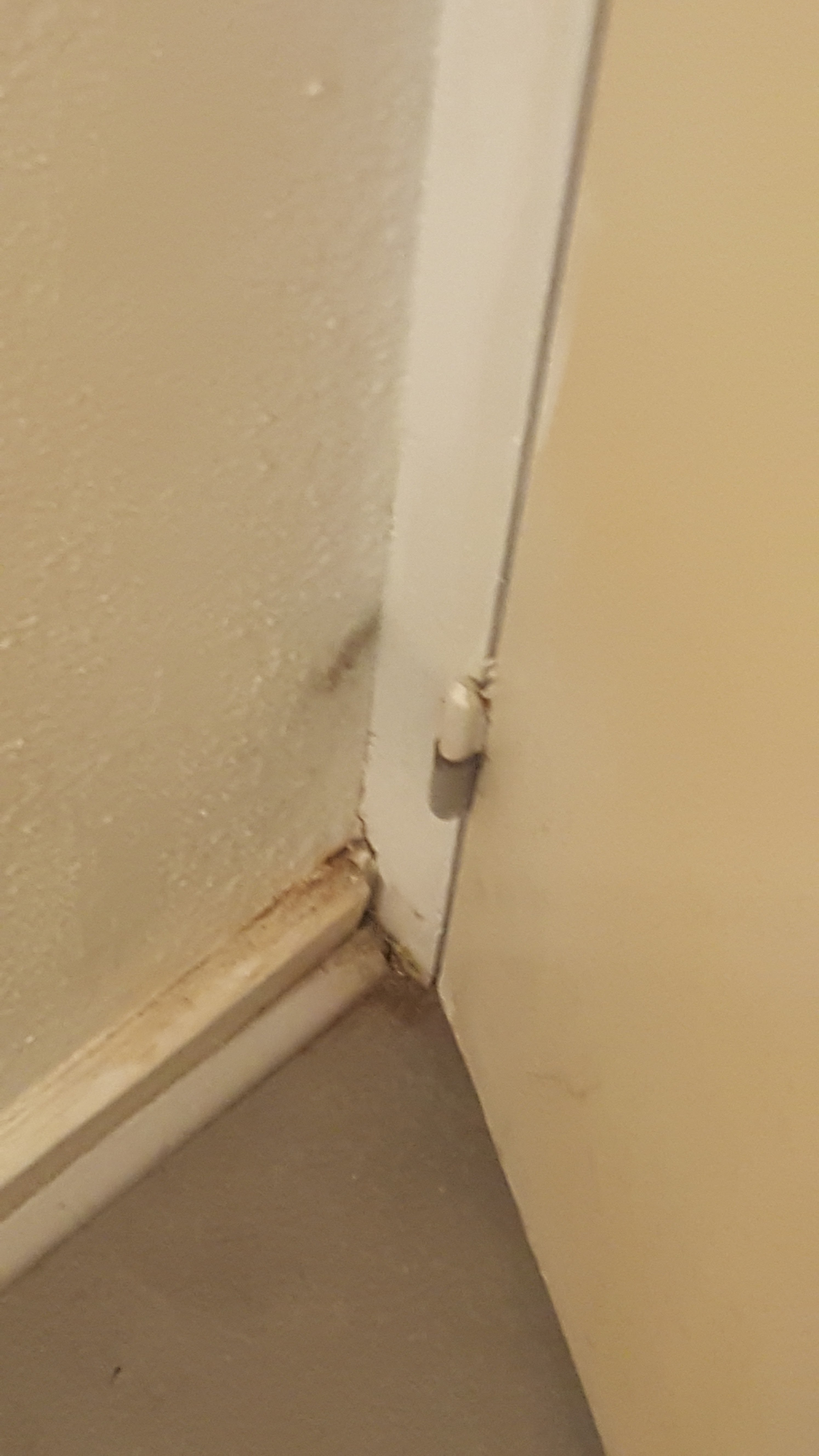 Photo n° 2 de l'avis de Bernard.o fait le 19/10/2018 à 07:59