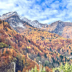 Photo n°5 de l'avis de mario.a fait le 16/11/2023 à 16:28 sur le  Al Rustico à Valle di San Lucano