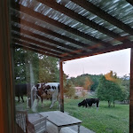 Photo n°15 de l'avis de Barbara.o fait le 24/05/2022 à 07:10 sur le  Tenuta Codirosso à Castelnuovo di Val di Cecina