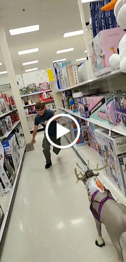 Department Store «Target», reviews and photos, 300 Chase Ave, Waterbury, CT 06704, USA