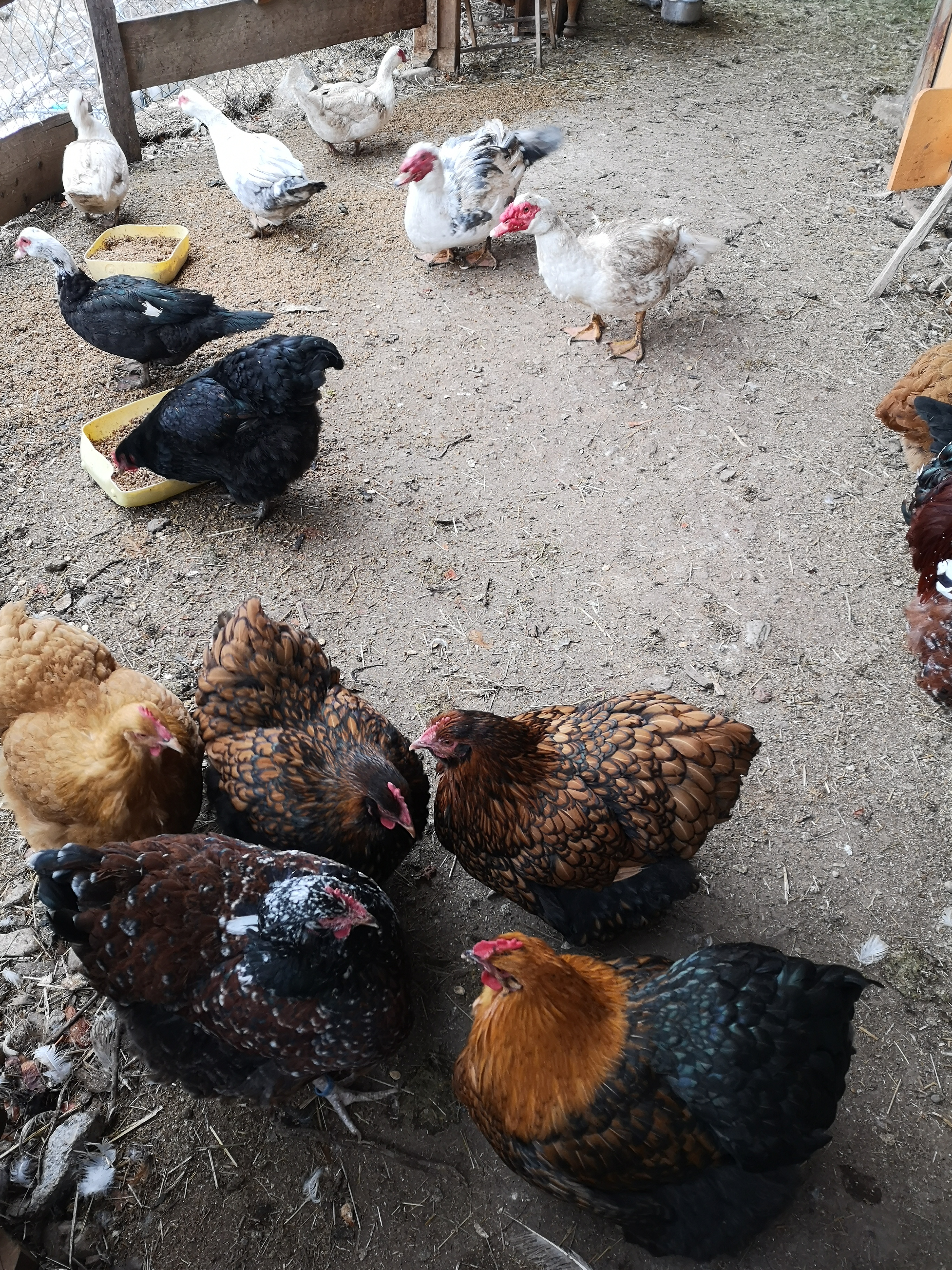 Photo n° 3 de l'avis de Joëlle.a fait le 22/02/2020 à 10:40