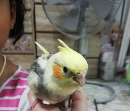 MINI ZOO CAFE' photo