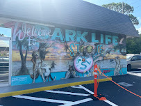 Bark Life, St. Petersburg - Photo 7 - Car repair in St. Petersburg, FL, St. Petersburg