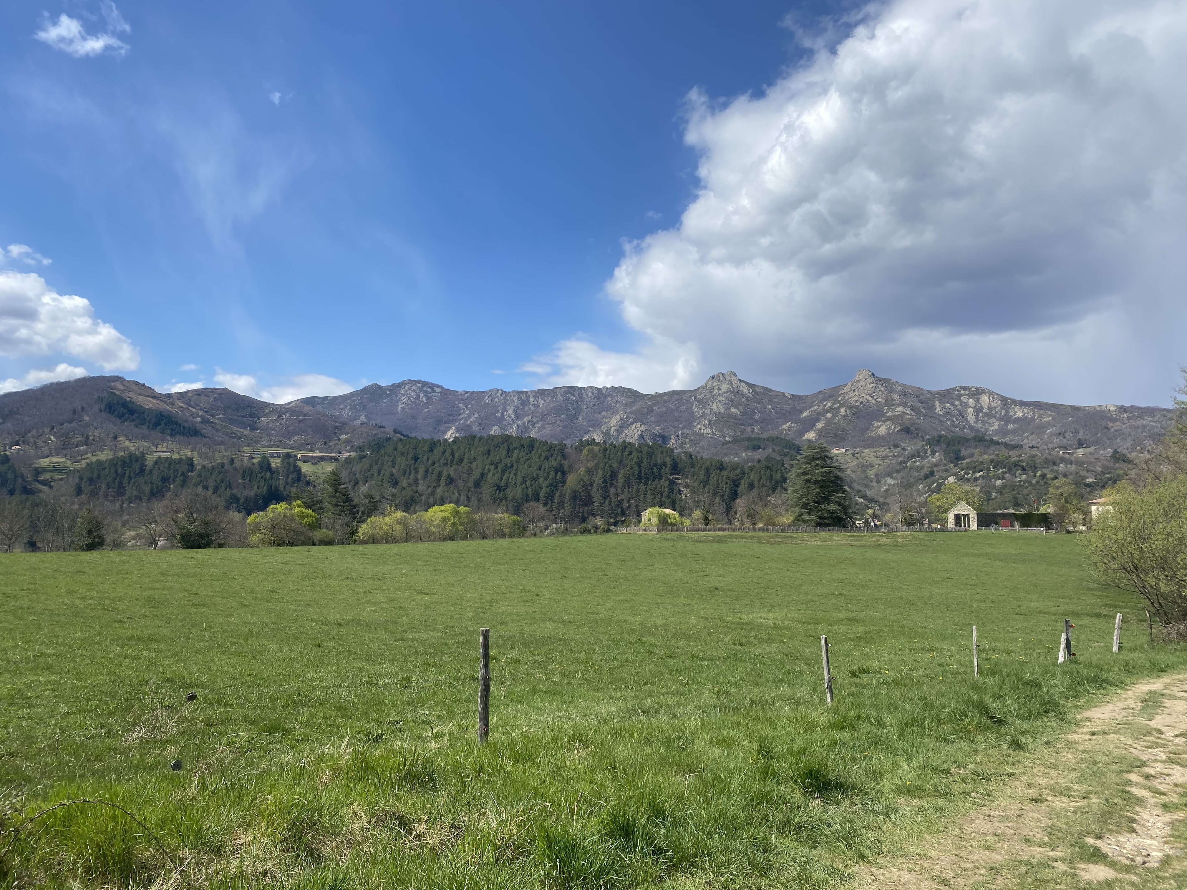 Photo n° 2 de l'avis de Vladlena.o fait le 11/04/2022 à 08:27