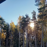 Photo n°1 de l'avis de Gianniie.e fait le 25/11/2022 à 09:49 sur le  Hotel Parco Pineta - Pizzeria & Ristorante & Ristorante Indiano - Cavareno à Cavareno