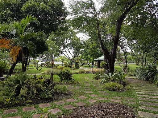 Rommani Garden