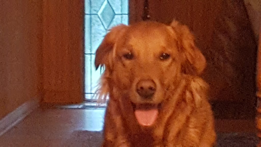 Auto Repair Shop «Southend Auto Care», reviews and photos, 8318 Pacific Hwy E, Tacoma, WA 98422, USA