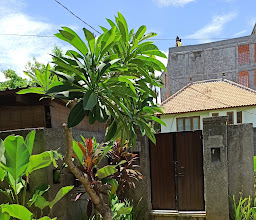 Villa Lovecho photo