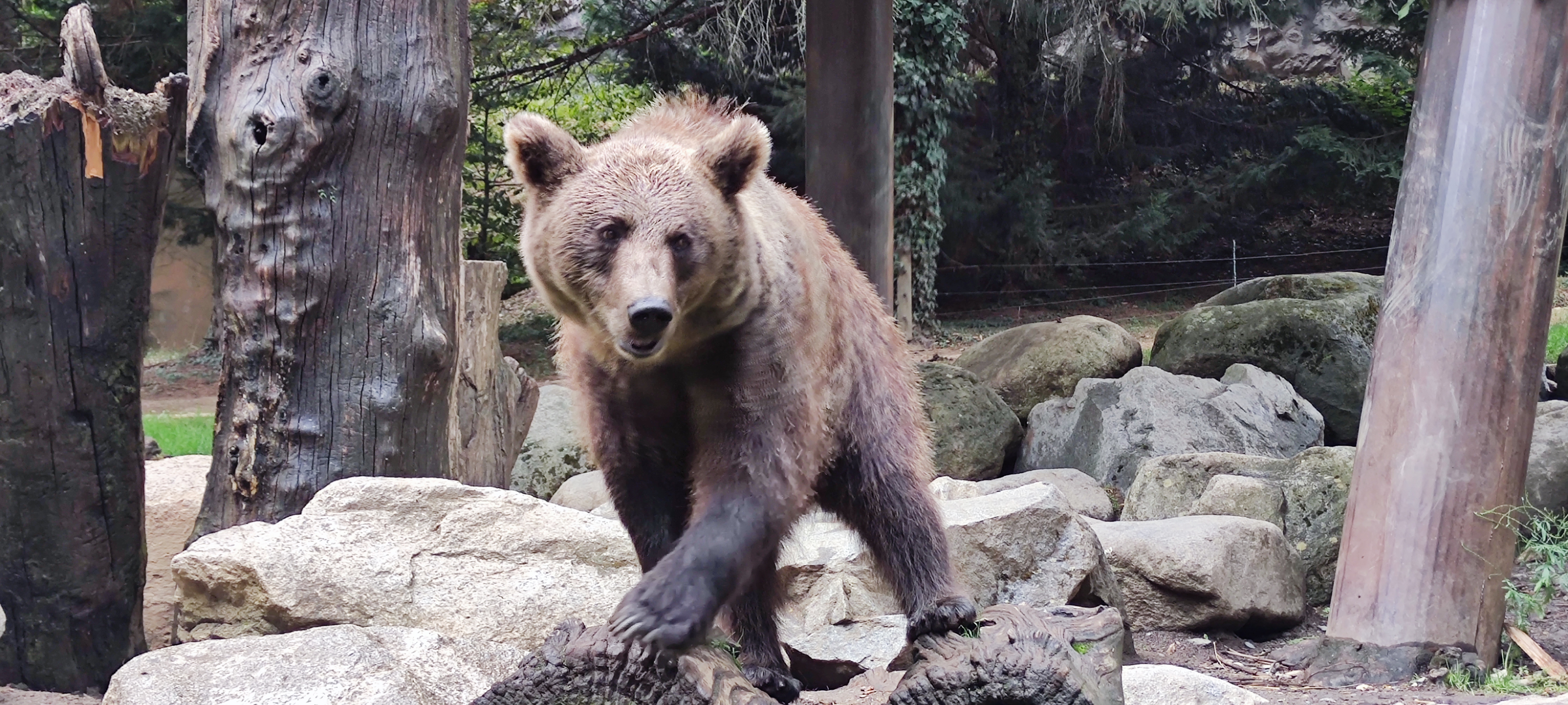 Photo n° 11 de l'avis de Aurélie.i fait le 15/07/2021 à 17:00