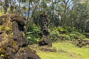 Lava Tree State Monument image