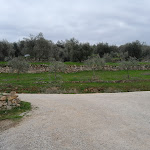 Photo n°6 de l'avis de Matteo21.. fait le 19/03/2024 à 23:14 sur le  Agriturismo Podere Spedalone à Pienza