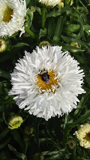 Grocery Store «Fred Meyer», reviews and photos, 7700 SW Beaverton Hillsdale Hwy, Portland, OR 97225, USA