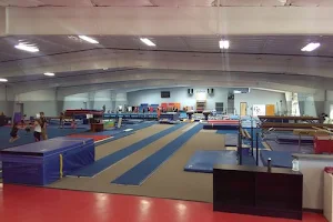 G-Force Gymnastics Academy image