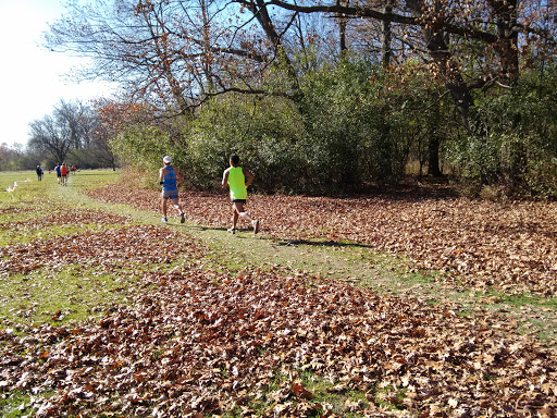Nature Preserve «Harms Woods», reviews and photos, Harms Rd, Glenview, IL 60025, USA