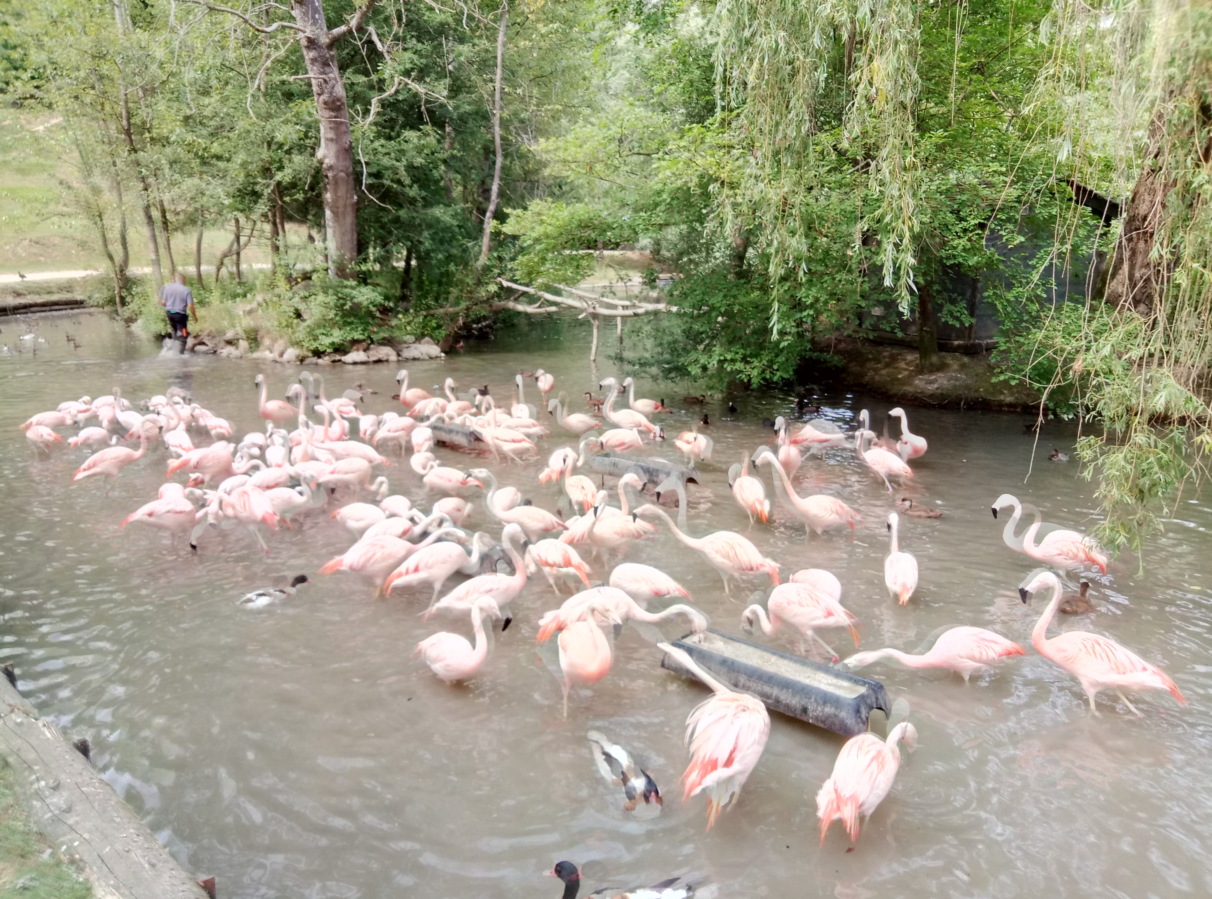 Photo n° 3 de l'avis de Patricia.e fait le 19/07/2019 à 21:12